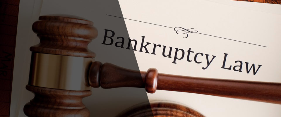 Insolvency & Bankruptcy Lawyer in Ahmedabad, Insolvency & Bankruptcy  Advocate Gujarat